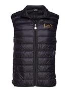 Down Waistcoat EA7 Black