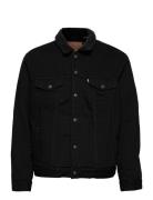 Type 3 Sherpa Trucker Berk She LEVI´S Men Black