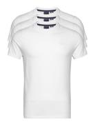 Essential Triple Pack T-Shirt Superdry White
