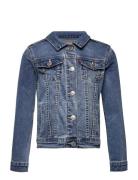 Levi's® Stretch Trucker Jacket Levi's Blue