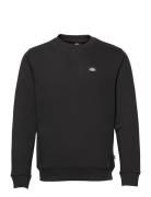 Oakport Sweatshirt Dickies Black