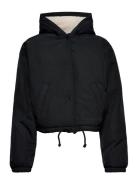 Hco. Girls Outerwear Hollister Black