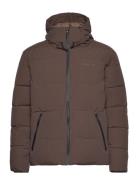 Joseph Climb Jacket Woodbird Brown