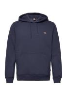 Oakport Hoodie Dickies Navy