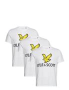 3 Pack Printed T-Shirt Lyle & Scott White