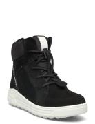 Urban Snowboarder ECCO Black