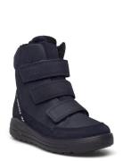 Urban Snowboarder ECCO Blue