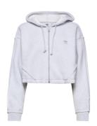 Crop Full-Zip Loungewear Hoodie Adidas Originals Grey
