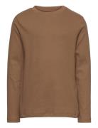 T-Shirt Ls En Fant Brown