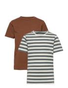 Basic 32 -T-Shirt Ss Minymo Brown