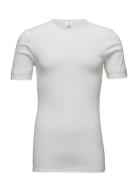 Jbs T-Shirt Classic JBS White