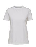 Slfmy Perfect Ss Tee Box Cut B Noos Selected Femme White