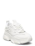 Jpossession Sneaker Steve Madden White