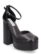 Tamy Sandal Steve Madden Black