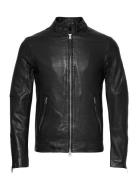 Cora Jacket AllSaints Black