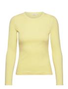 Ludmilla Ls Tee Gots Basic Apparel Yellow