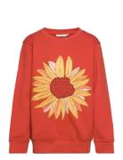Sgbaptiste Sunflower Sweatshirt Soft Gallery Red