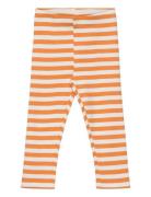 Sgissey Yd Striped Leggings Acorn Soft Gallery Orange