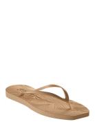 Tapered Burgundy Flip Flop SLEEPERS Brown