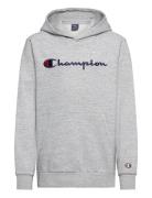 Hooded Sweatshirt Champion Grey