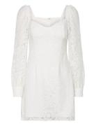 Atreena Lace Mini Dress French Connection White