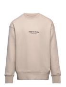 Jorvesterbro Sweat Crew Neck Noos Jnr Jack & J S Beige