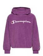 Hooded Sweatshirt Champion Purple