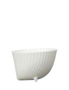 Bowl Frances Xs Byon White