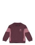 Hmlkris Sweatshirt Hummel Purple