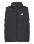Jk Pad Vest Adidas Sportswear Black