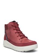 Urban Snowboarder ECCO Red