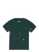 Polo Pony Cotton Mesh Tee Ralph Lauren Baby Green