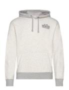 Hco. Guys Sweatshirts Hollister Grey