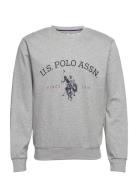 Uspa Sweatshirt Brant Men U.S. Polo Assn. Grey