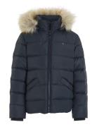 Essential Down Fur Hood Jacket Tommy Hilfiger Navy