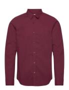 Hco. Guys Wovens Hollister Burgundy