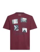 Printed T-Shirt Tom Tailor Burgundy