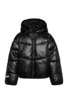 Jacket Puffer Lindex Black