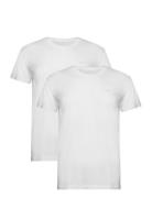 C-Neck T-Shirt 2-Pack GANT White