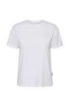 Nmbrandy S/S Top Noos NOISY MAY White