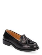 Terrane Black Leather Loafers ALOHAS Black