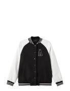 Nlmarsity Ls Bomber Jacket LMTD Black