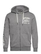 Athletic Coll Graphic Ziphood Superdry Grey