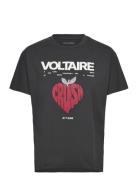 Tommer Co Concert Crush Strass Zadig & Voltaire Black
