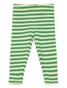 Tnsfinn Rib Leggings The New Green