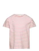 T-Shirt Ss Stripe Creamie Pink