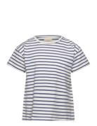 T-Shirt Ss Stripe Creamie Blue