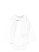 Body Ls W. Collar Fixoni White