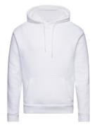 Hco. Guys Sweatshirts Hollister White