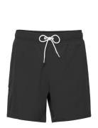 Hco. Guys Swim Hollister Black